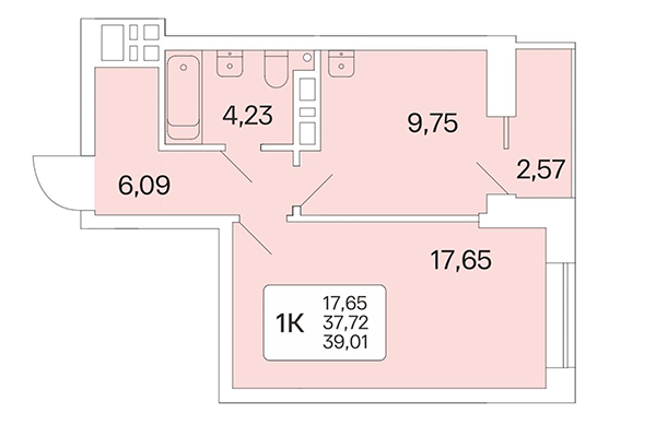 1-комнатная квартира 39,01 м² в Расцветай на Красном. Планировка