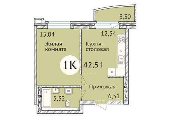 1-комнатная квартира 42,51 м² в ЖК Заельцовский. Планировка
